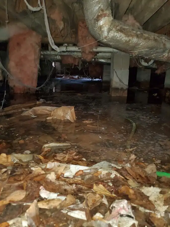 Crawl space flood assessment for Leak Detection & Repair in Tracy